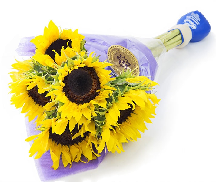 7 Sunflowers B2O
