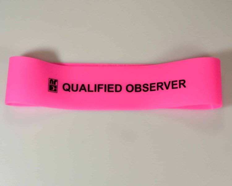 Pink - "Qualified Observer" - HH Band